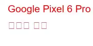 Google Pixel 6 Pro 휴대폰 기능