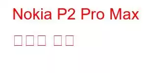 Nokia P2 Pro Max 휴대폰 기능